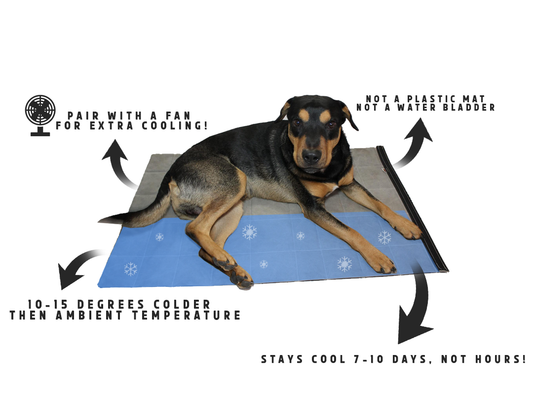Benefits of Water Activated Pet Cooling Products - Like Cool Beds!