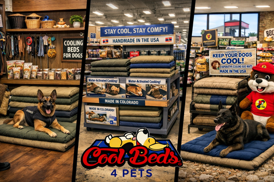 🐾 Why Wholesale Distributors and Retailers Should Carry CoolBeds4Pets