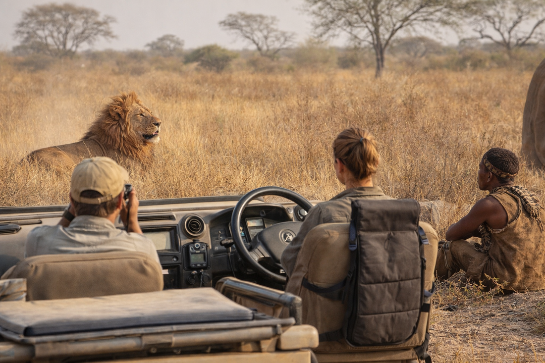 How Cool Beds Helped Lion Researchers Beat the Desert Heat