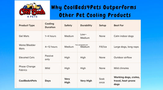 Why CoolBeds4Pets Outperforms Gel Mats, Water Beds & Cooling Cots (Real Cooling That Lasts)