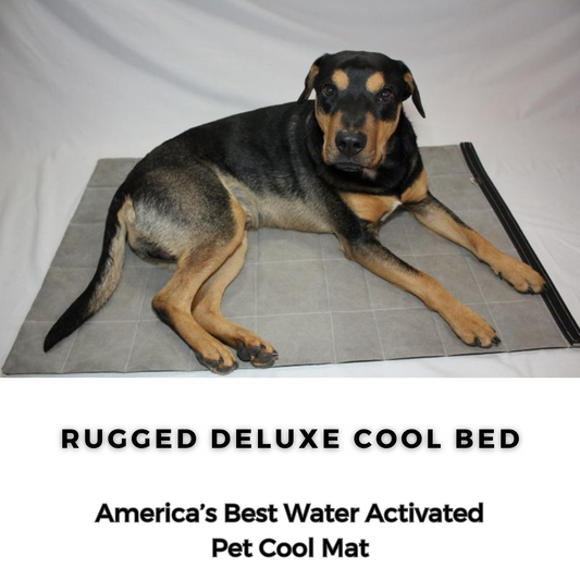 Rugged Deluxe Cool Bed