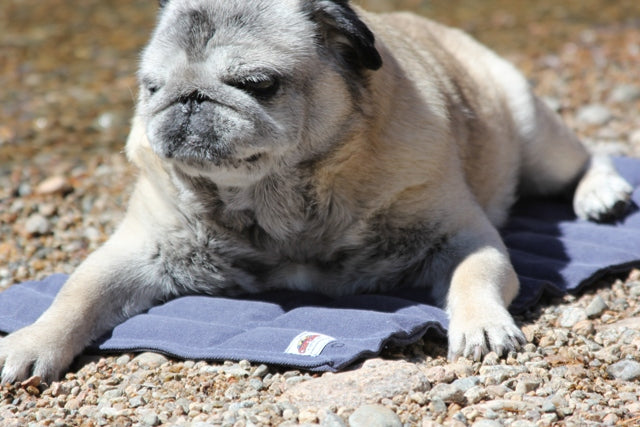 Rugged Deluxe Cool Bed