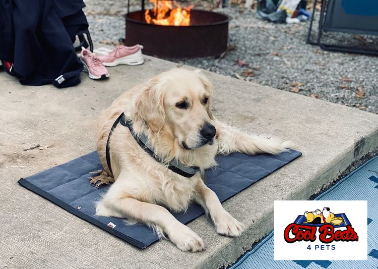 Rugged Deluxe Cool Bed