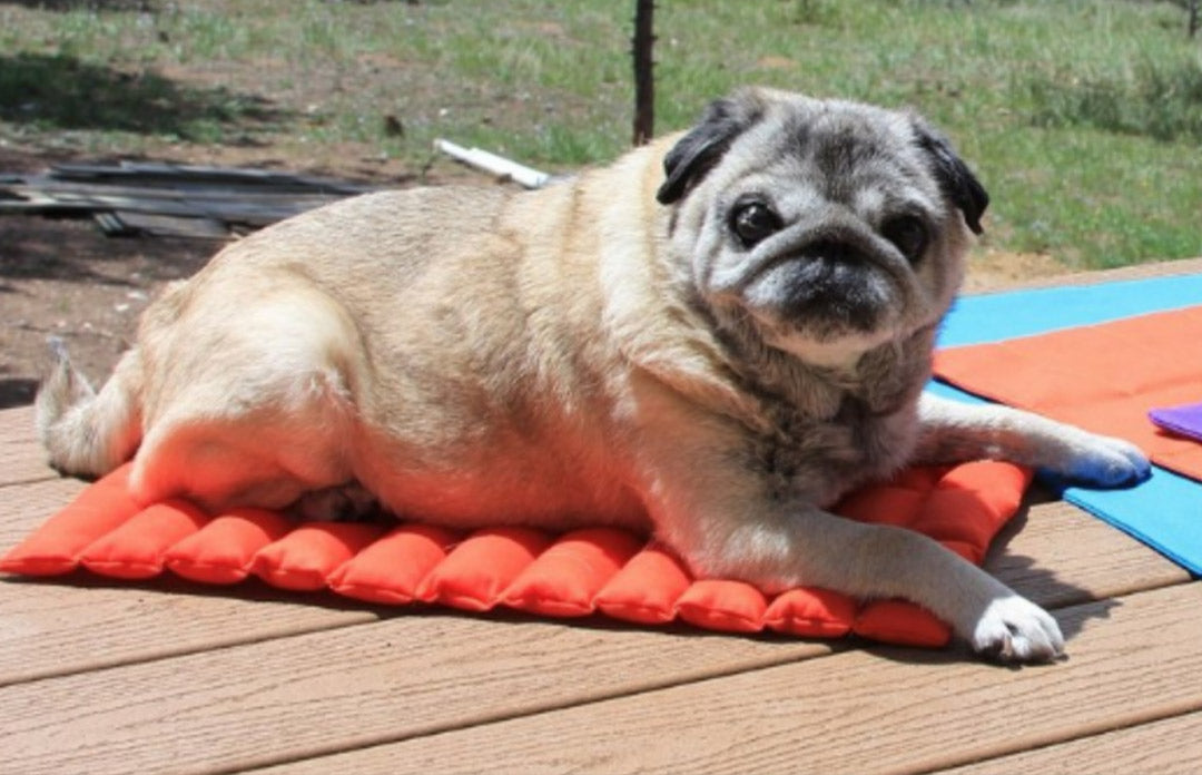 Rugged Deluxe Cool Bed